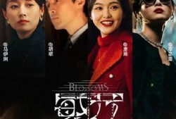 搜索连电视剧全集土豆,热门电视剧全集大汇总