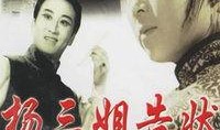 杨三姐告状电视剧,正义与复仇的交织